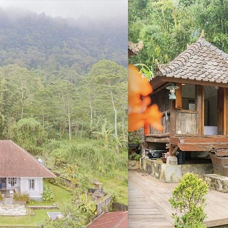 Four Monkeys House Villa Бедугул Екстериор снимка