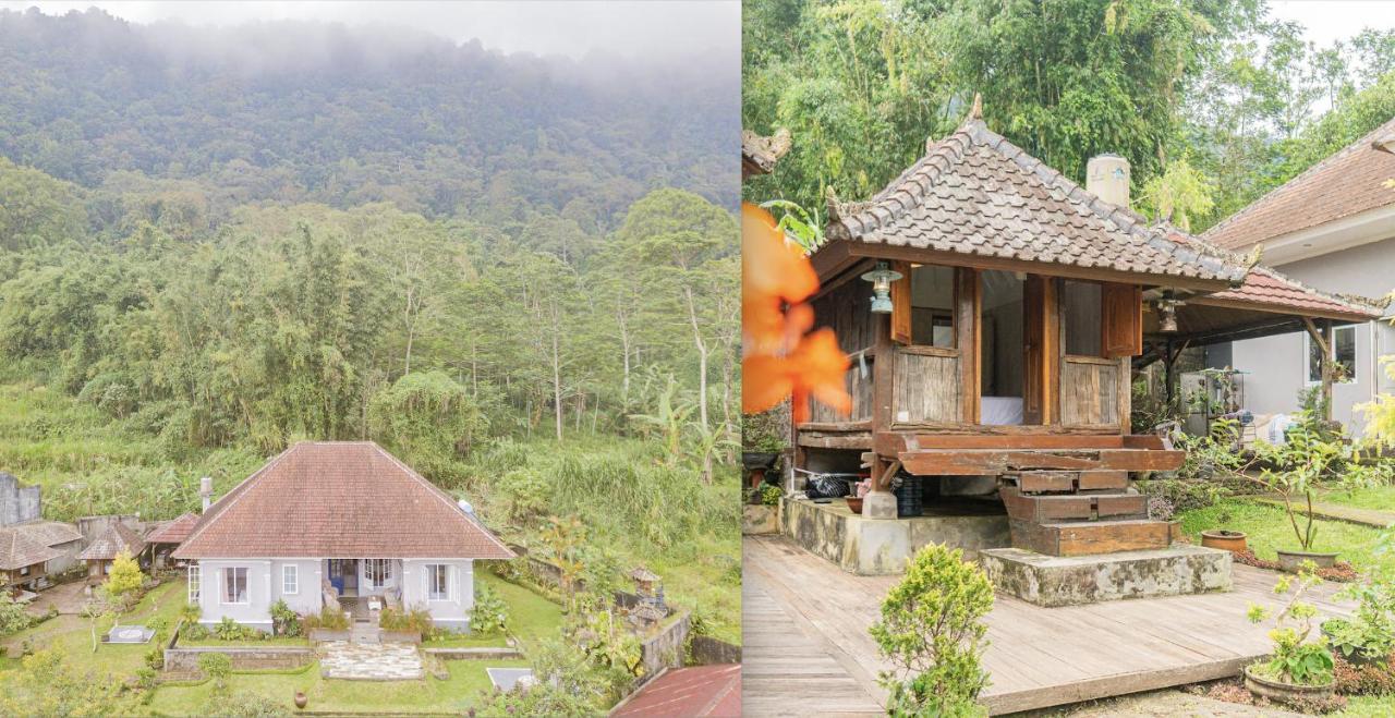 Four Monkeys House Villa Бедугул Екстериор снимка