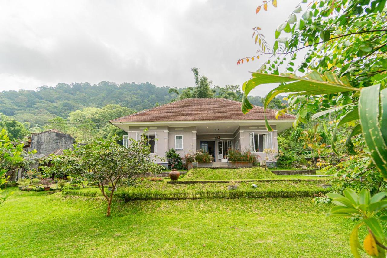 Four Monkeys House Villa Бедугул Екстериор снимка